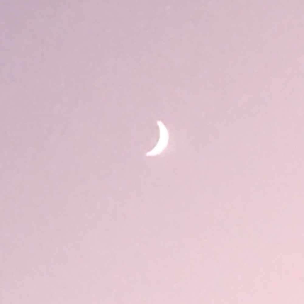 Meet your Posher, Kylea